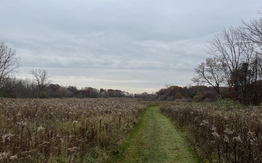 A field in Michigan